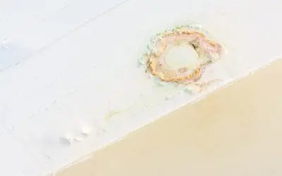 The Consequences of Home Water Damage