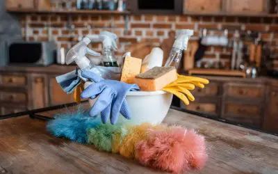Eco-Friendly Living with Homemade Cleaning Supplies