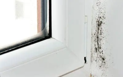 Health Hazards at Home: Hidden Risks Every Homeowner Should Know