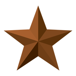 Bronze Star Home Inspections LLC