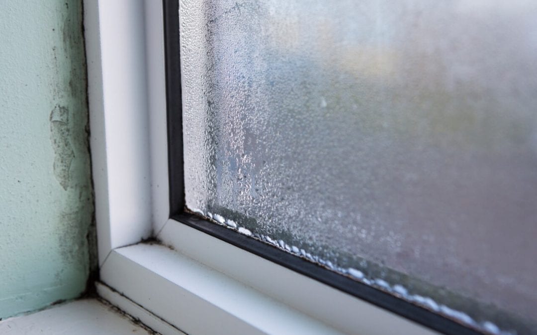 How to Reduce Humidity in Your Home