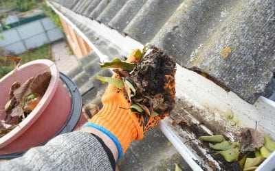 How to Clean the Gutters