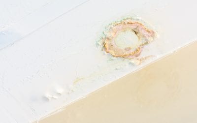 The Consequences of Home Water Damage