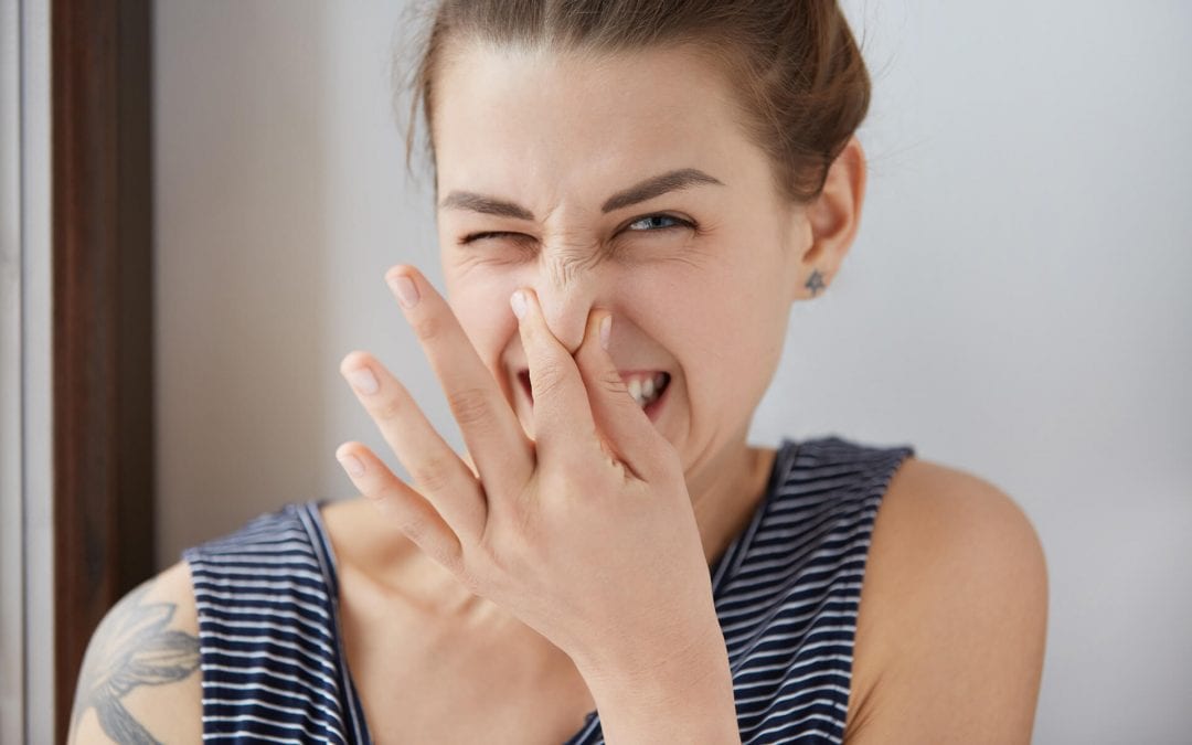 7 Odors in the Home and What They Mean