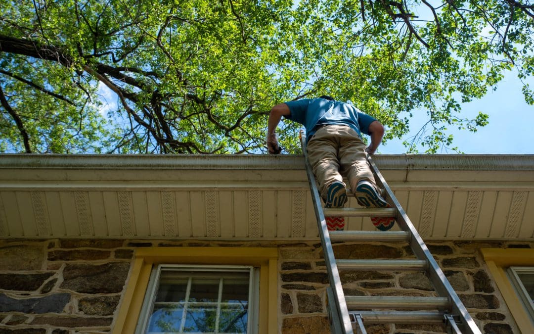 7 Spring Home Maintenance Tips for Southern Homes