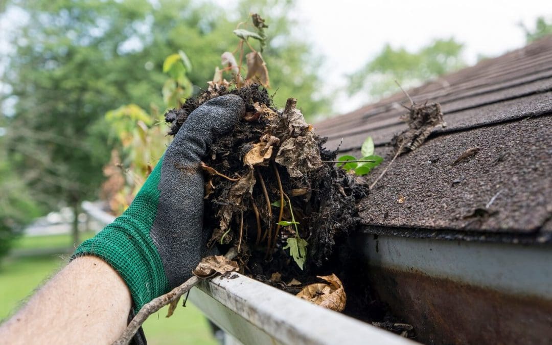 A Fresh Start at Home: Your Guide to End-of-Year Maintenance