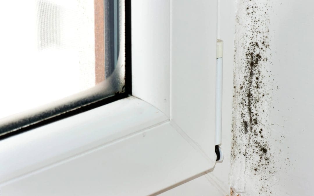 Health Hazards at Home: Hidden Risks Every Homeowner Should Know